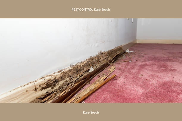 PEST CONTROL Kure Beach